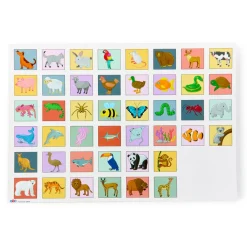 A3 Chatterboard Pro Oracy Insert