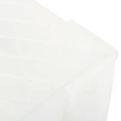 Allstore Plastic Storage Box