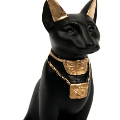 Ancient Egypt Remains Time Capsule Artefact Collection KS2
