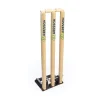 Aresson Springback Cricket Stumps