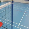 Badminton and Volleyball Combination Posts