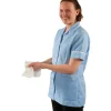 Bioguard Alcohol-Free Heavy-Duty Hand & Surface Wipes