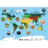 Biomes Curriculum Pack