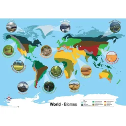 Biomes Curriculum Pack