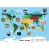 Biomes World Map A1