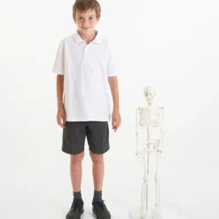 Boney Tony Half Sized Human Skeleton Model