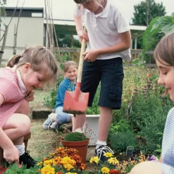 Child Size Gardening Tools Set 6pcs