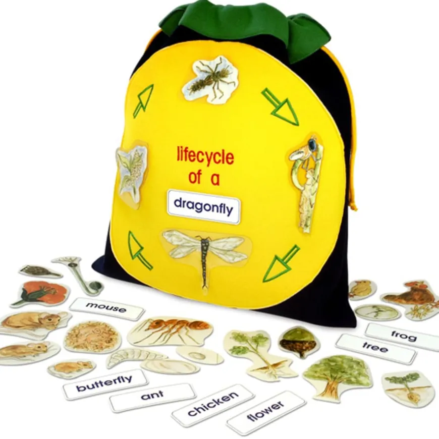 Class Life Cycle Bag