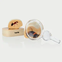 Class Pack of Magnifiers 35pk