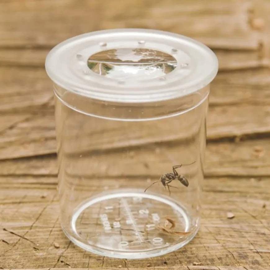 Class Pack of Magnifiers 35pk