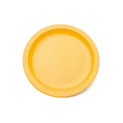 Colourful Polycarbonate Plates Single