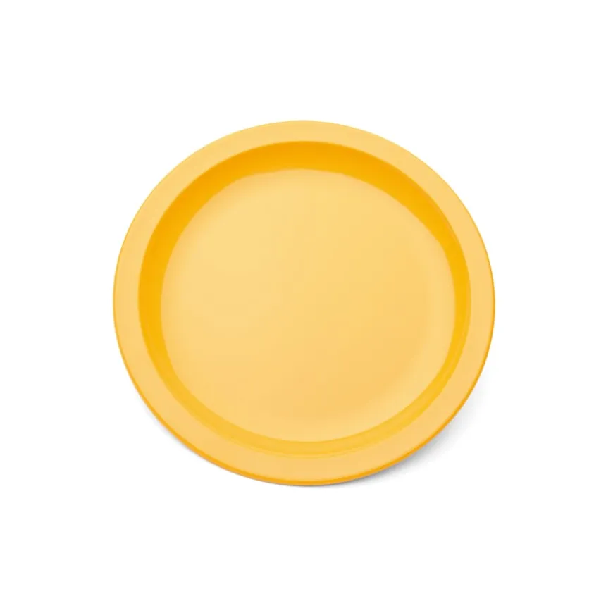 Colourful Polycarbonate Plates Single