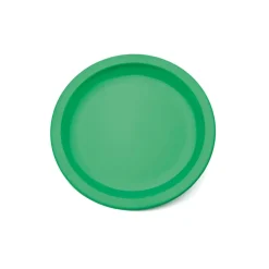 Colourful Polycarbonate Plates Single
