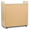 3 Column Tray Storage inc 15 Deep Translucent Trays