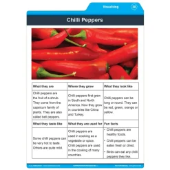 Comprehension Strategies