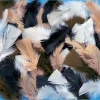 Craft Feathers 14g