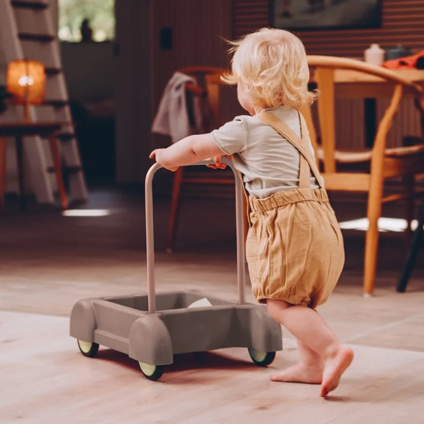 Dantoy TINY Baby Walker