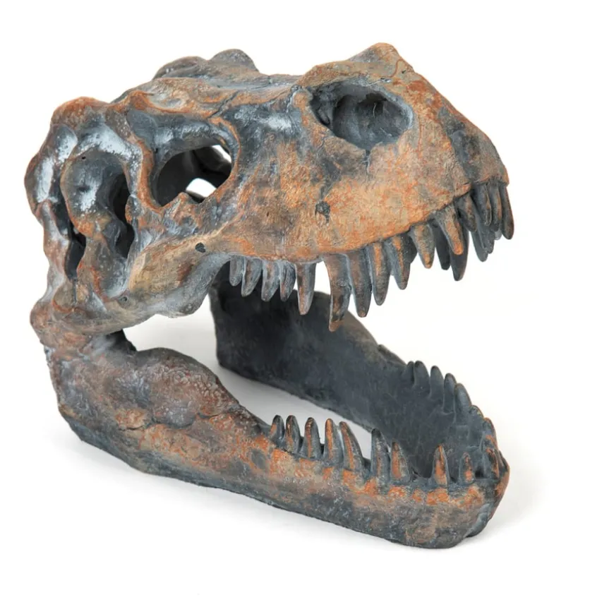 Dinosaur Fossil Kit