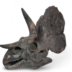 Dinosaur Fossil Kit