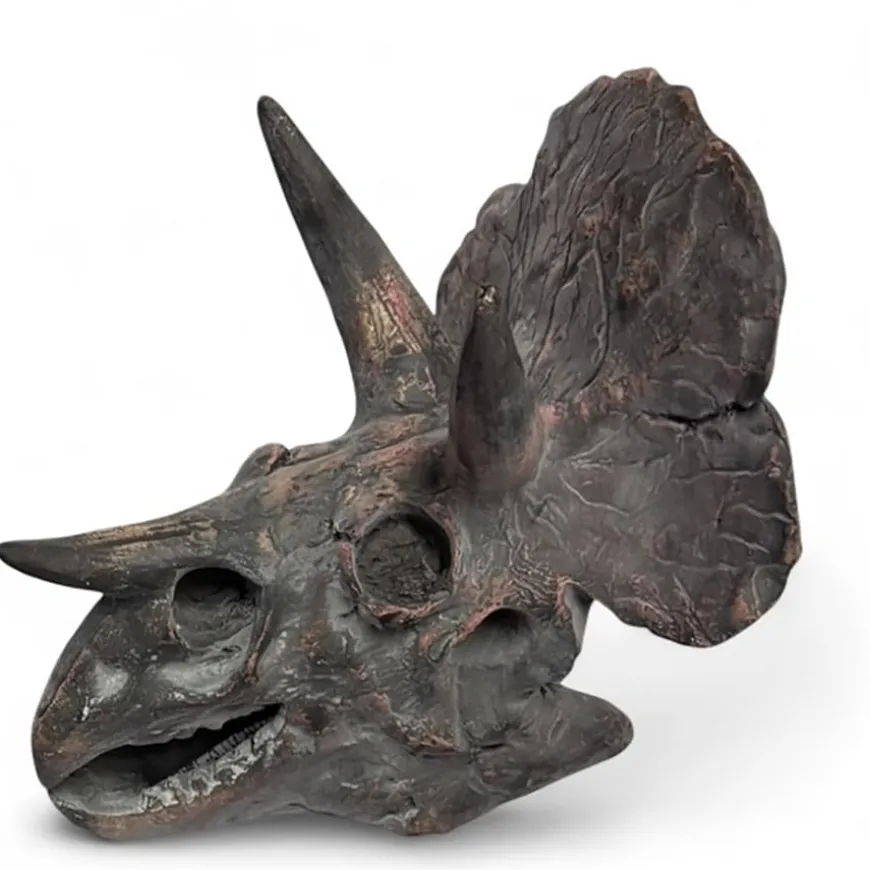 Dinosaur Fossil Kit