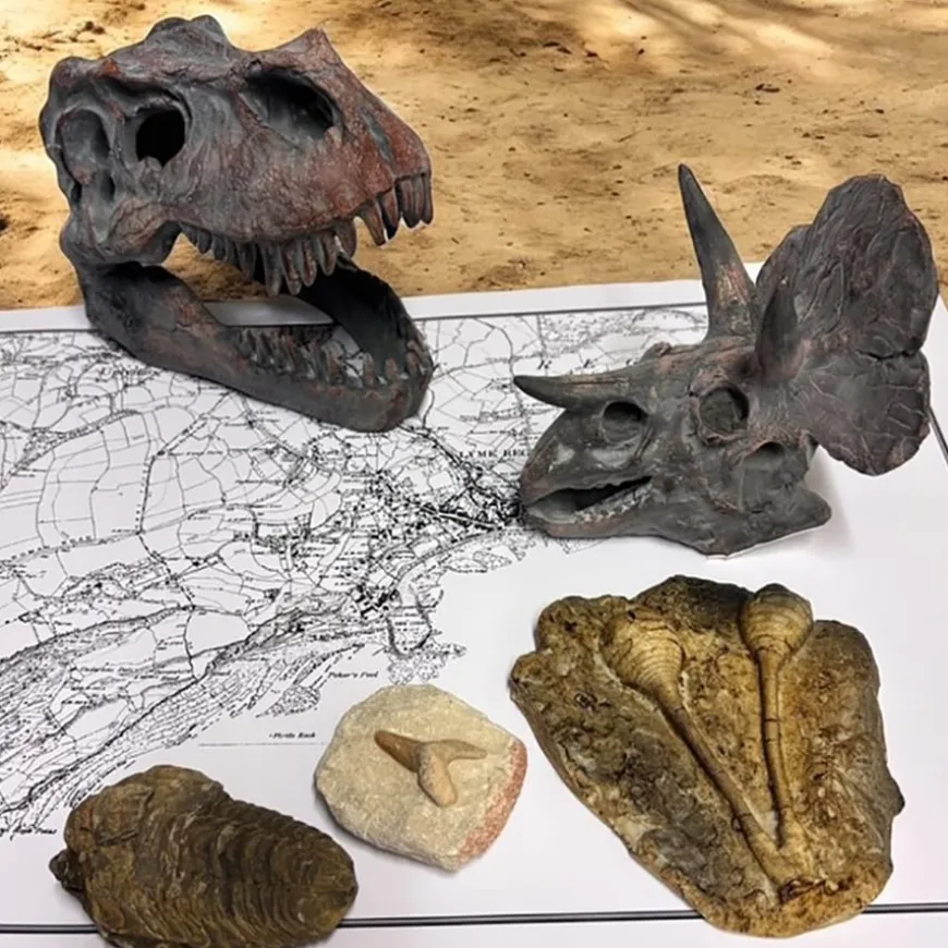 Dinosaur Fossil Kit