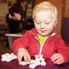 Discovery Dinosaur Bones
