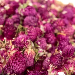 Dried Flowers Natural Collage Pack