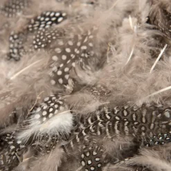 Feather Pack Assorted