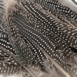 Feather Pack Assorted