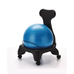 Fit Ball Support Chair
