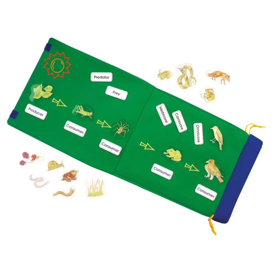 Foldout Animal Food Chain