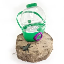 Forest School - Urban Schools Kit