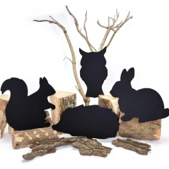 Forest School - Urban Schools Kit