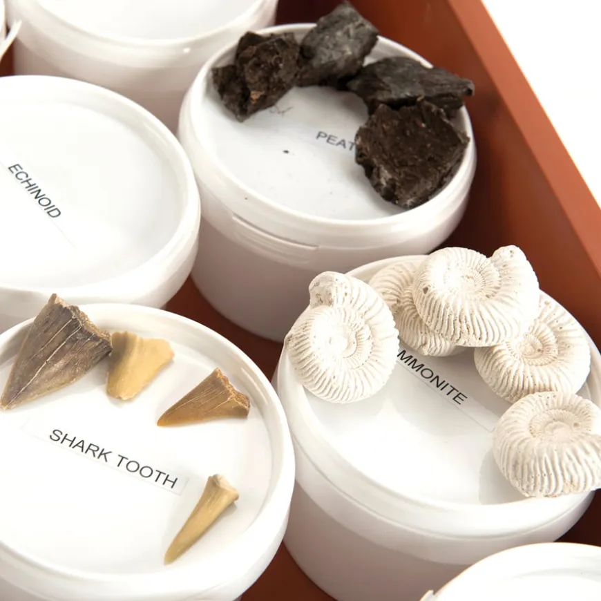Fossil Class Pack