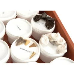 Fossil Class Pack