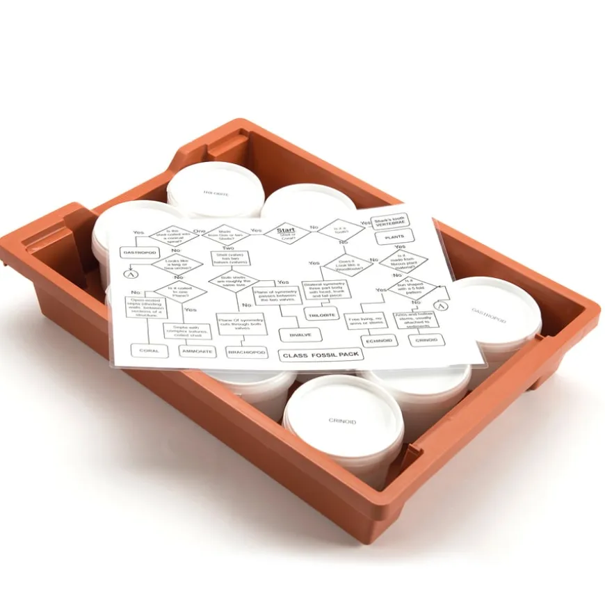 Fossil Class Pack
