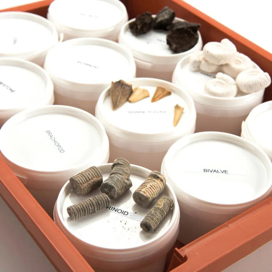 Fossil Class Pack