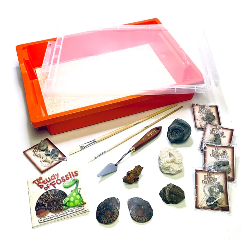 Fossils Archaeological Artefact Dig Kit