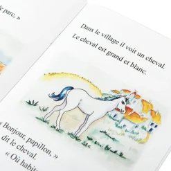 French Reading Book Pack 10pk