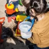 Giant Sand and Water Accessories 38pk