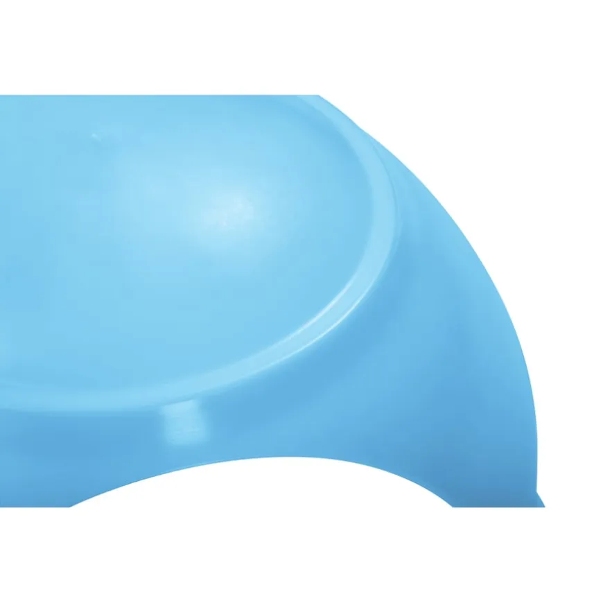 Gonge Koala Rock and Balance Shell