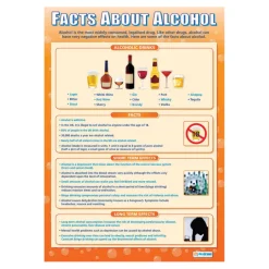 Health and Wellbeing Risks Poster Set A1 3pk