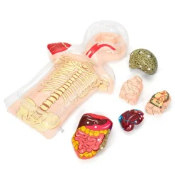 Healthy Living PSHE Activity Set