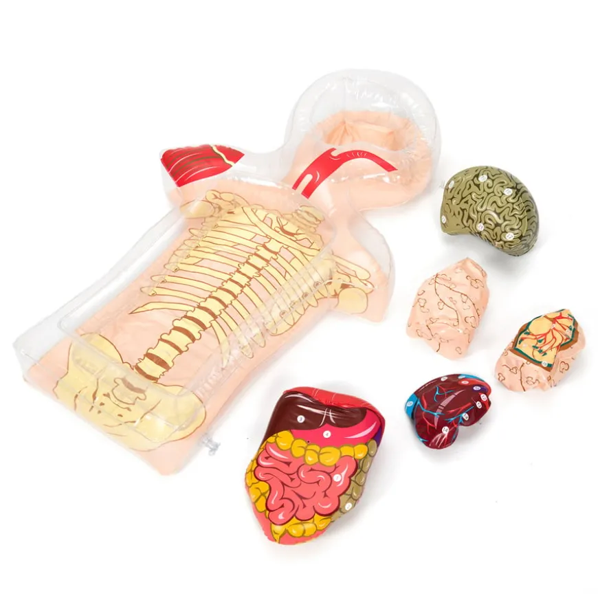 Healthy Living PSHE Activity Set