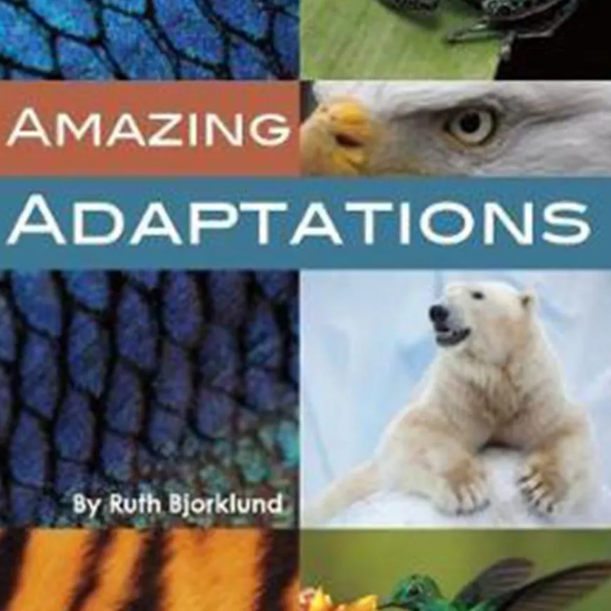 KS2 Evolution and Adaptation Book Pack - 10pk