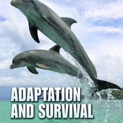 KS2 Evolution and Adaptation Book Pack - 10pk