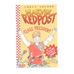 KS2 Fiction Books 25pk