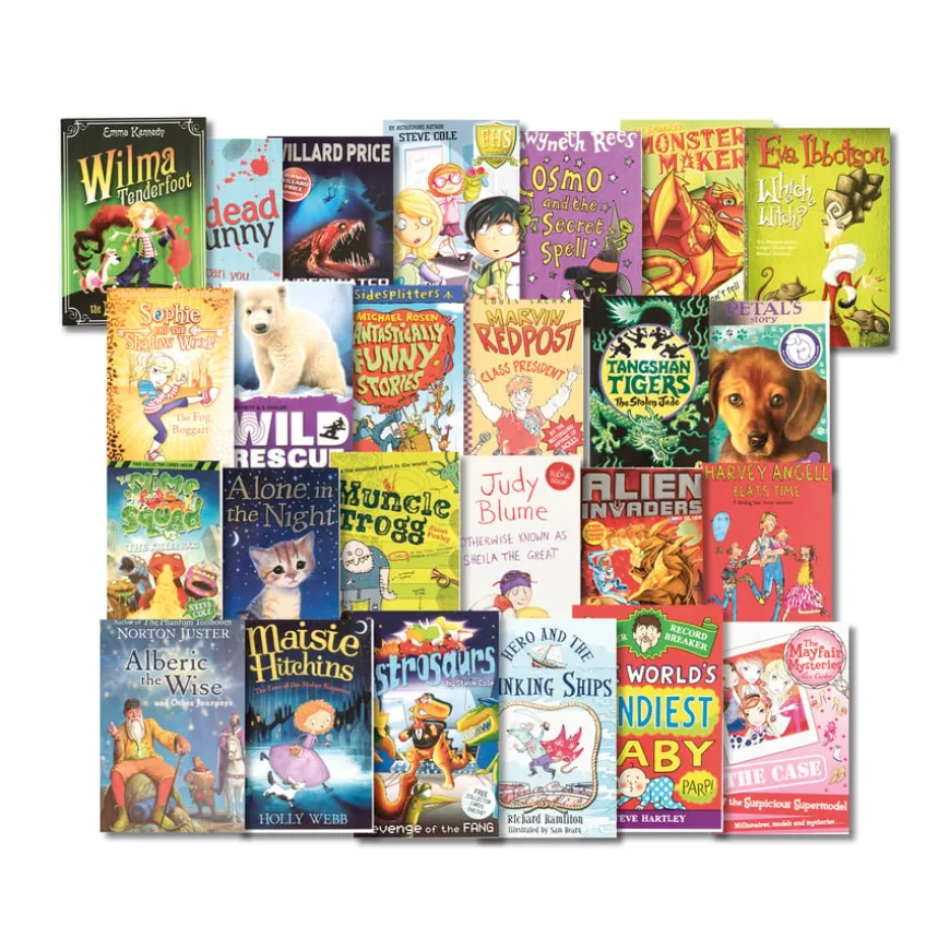 KS2 Fiction Books 25pk