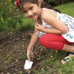 KS2 Gardening Tools