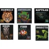 KS1 - Living Things and their Habitats Books 6pk